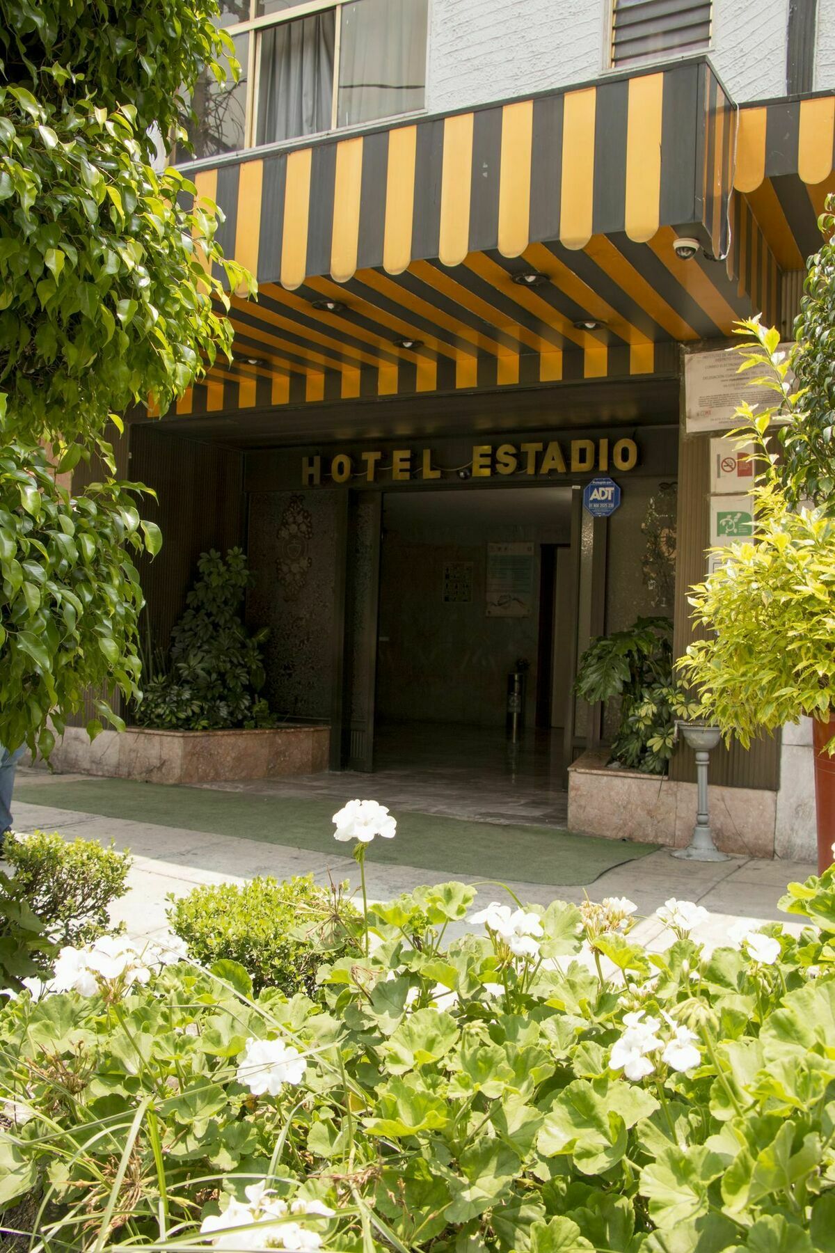 Hotel Estadio S.A Mexiko-Stadt Exterior foto